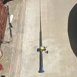Daiwa Vip Saltwater 6FT Trolling Rod & Sealine-x 50SHV Reel Combo. Fixed Price $175.00.