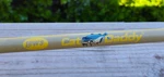 Lew's CDS5070MHA-2D Cat Daddy Fishing Rod 7FT Pc. Fixed Price $60.00.