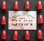 Tungsten Red Worm Weights 3/16 Ounce (5.3G) 10PK, Bullet. Fixed Price $18.95.