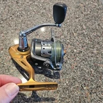 Quantum Triax TRX20F Spinning Reel Fishing Eight Bearings Gold. Fixed Price $19.85.