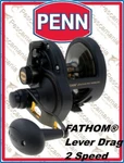 Fishing Reel Spinning Penn Fathom Lever Pull 2 Speed. Fixed Price $415.48.