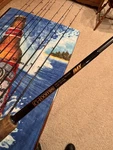 Loomis Imx 6 Medium Fast Action Baitcasting Rod. Fixed Price $310.00.