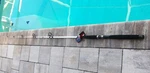Berkley Big Game BGS802MH 2-PC Spinning Live-bait ROD"8'; 12-30LB New!!!a. Fixed Price $39.00.